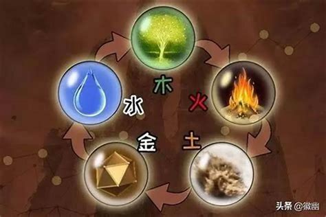 木水火土|「万物类象」金、水、木、火、土五行取象